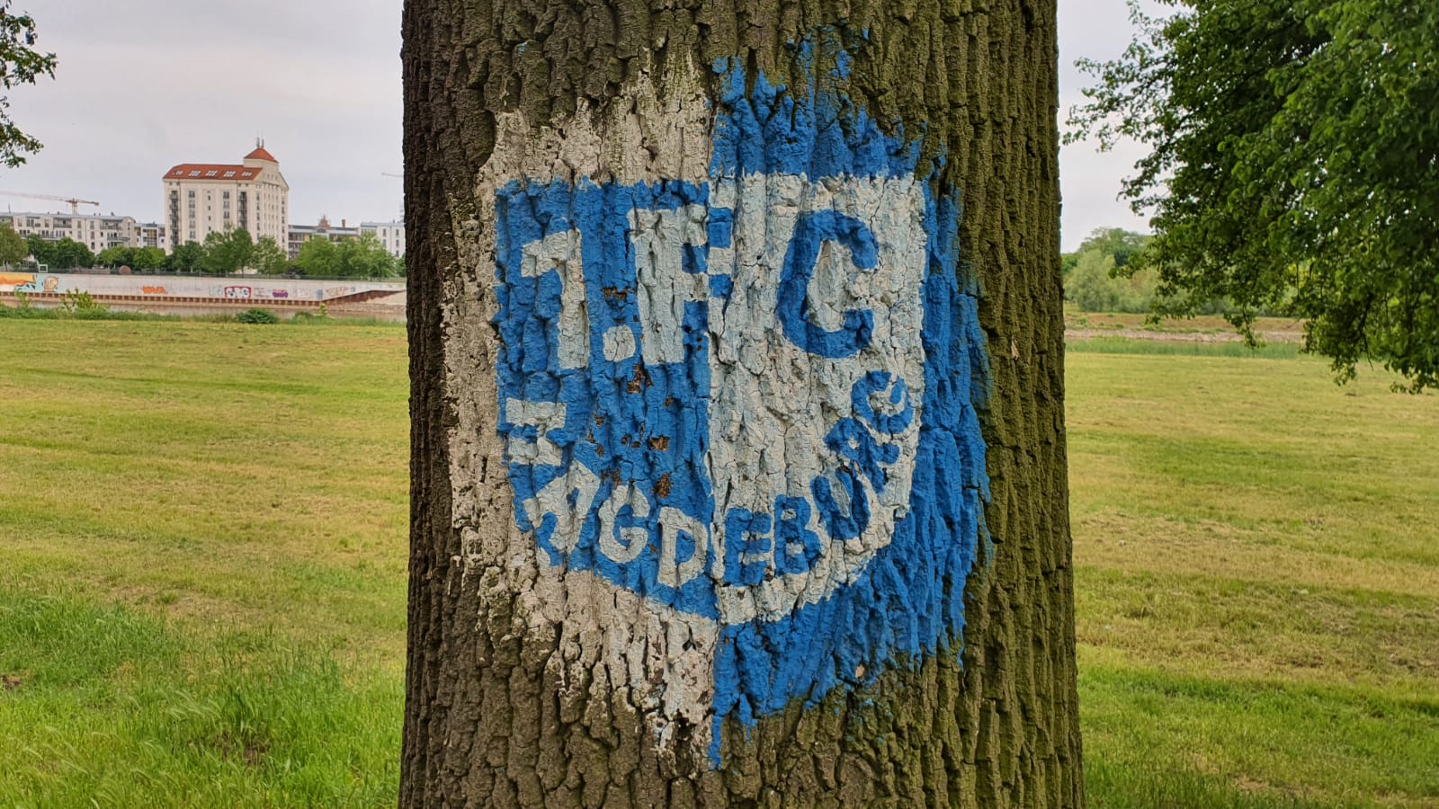 Fußballanhänger in Magdeburg entwenden Fanartikel und beleidigen Bundespolizisten