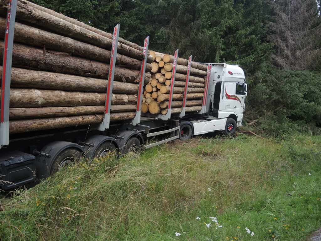 Holztransporter landet bei Drei Annen Hohne im Harz im Straßengraben, Fahrer schwer verletzt
