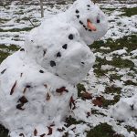 Schneeschieber in Wernigerode und Halberstadt geklaut