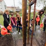 Frisch gepflanzte Zierkirsche in Merseburg setzt symbolisches Zeichen für die Verkehrs- und Klimawende