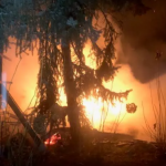 Gartenlaube im Schachdorf Ströbeck brannte
