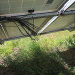 Kabel im Solarpark in Schwanebeck im Harz durchtrennt