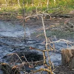 Kabeldiebe in Oschersleben lösen Feuer aus