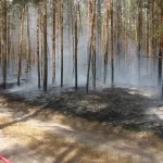 Waldbrand in Kläden am Arendsee
